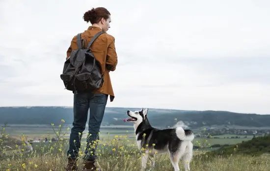 Rocco's Outdoor Hundeschule